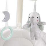 Graco Eluma Sway Soothing Baby Swing - Rori