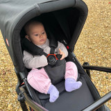 Out N About Nipper Switch 2 in 1 Carrycot & Parent-Facing Seat - Black