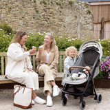 Joie Parcel Signature Stroller - Oyster
