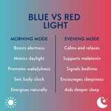 Purflo Snoozee Sleep Trainer and Clock