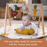 Tiny Love Luxe Development Gymini - Garden of Adventures