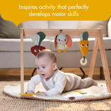 Tiny Love Luxe Development Gymini - Garden of Adventures