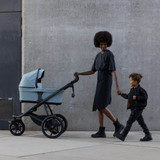 Thule 3 Bassinet - Tinted Taupe