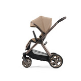 Oyster 4 - Fawn