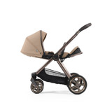 Oyster 4 - Fawn