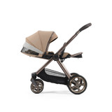 Oyster 4 - Fawn