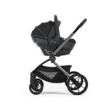 Oyster Vee - Black/Liquorice