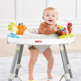 Skip Hop Explore & More Baby's View 3-Stage Activity Center