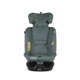 Cosatto Giggle 4 Special Edition All Stage Home & Travel Bundle - Tiny Treetops