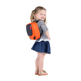 Phil & Teds Parade Carrier - Blue/Grey