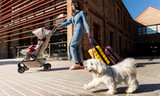 Meet the Joolz Aer²: The Stroller That Lets You Do More with One Hand