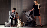 The Striking Mountain Buggy Cosmopolitan GEO is Here