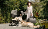 Take a look at the new Mountain Buggy Luxury Collection
