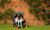 A review of the Cosatto Supa Dupa by Hello Archie