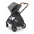 Uppababy CRUZ V2 Pram + Cloud T - Greyson