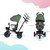 Kinderkraft Spinstep Tricycle - Pastel Green