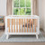 Boori Turin Cot Bed - White & Almond