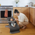 Ergobaby Evolve 3-in-1 Bouncer - Charcoal Grey