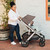 Uppababy VISTA V2 Pram - Theo (lifestyle)