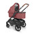 Uppababy CRUZ V2 Pram - Lucy