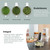 Babymoov Nutribaby + - Mineral Beige
