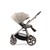 Babystyle Oyster 3 Pushchair - Champagne Chassis/Creme Brulee