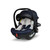 Cosatto Acorn i-Size Car Seat - Doodle Days