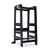 Hauck Learn N Explore Learning Tower - Black