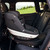 BeSafe Beyond - Fresh Black Cab (lifestyle)