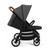 Ickle Bubba Stomp Stride Max Stroller - Charcoal Grey