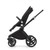 Bugaboo Fox Cub Essential Bundle - Black/Midnight Black