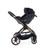 iCandy Peach 7 Double + Cocoon i-Size & Base - Pecan