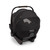 Nuna Mixx Next + Arra Flex & Base Curv Travel System Bundle - Caviar