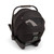 Nuna Triv Next + Arra Flex & Base Curv Travel System Bundle - Caviar