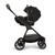 Nuna Triv Next + Arra Flex & Base Curv Travel System Bundle - Caviar