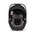 Nuna Mixx Next + Arra Flex & Base Curv Bundle - Biscotti
