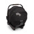 Nuna Mixx Next + Arra Flex & Base Curv Bundle - Biscotti
