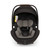 Nuna Triv LX + Arra Flex & Base Curv Travel System Bundle - Caviar