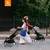 Stokke® YOYO³ Stroller from 6 months - Zebra