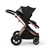 Ickle Bubba Stomp Luxe Nimbus Travel & Home Bundle - Bronze/Midnight/Black