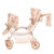 Roma Teddy Twin Dolls Pram