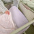 Tutti Bambini Cozee Zen Bedside Crib - Eucalyptus