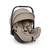 Nuna ARRA flex R-129 Infant Carrier - Chateau