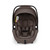 Nuna Mixx Next + Arra Flex & Base Curv Travel System Bundle - Chestnut