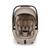 Nuna Mixx Next + Arra Flex & Base Curv Travel System Bundle - Chateau