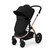 Ickle Bubba Stomp Luxe Cirrus Travel & Home Bundle - Bronze/Midnight/Black