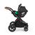 Ickle Bubba Stomp Luxe Cirrus Travel & Home Bundle - Black/Stone/Tan