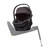 Thule Maple Infant Car Seat