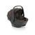 Oyster Capsule 360 - Chocolate Velvet