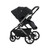 Oyster Vee - Black/Liquorice